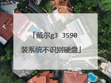 戴尔g3 3590装系统不识别硬盘