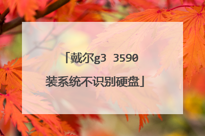 戴尔g3 3590装系统不识别硬盘