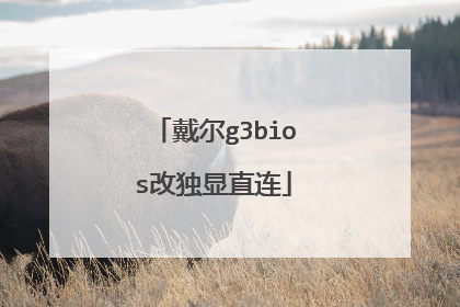 戴尔g3bios改独显直连