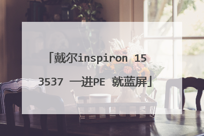 戴尔inspiron 15 3537 一进PE 就蓝屏