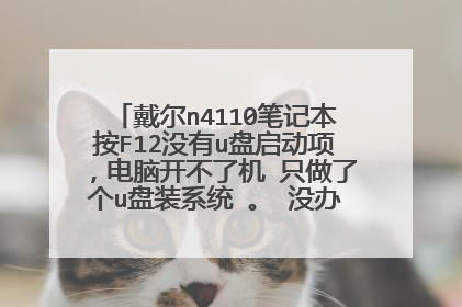 戴尔n4110笔记本按F12没有u盘启动项,电脑开不了机 只做了个u盘装系统 。 没办法u盘启动怎
