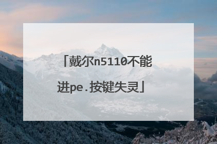 戴尔n5110不能进pe.按键失灵
