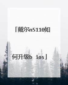 戴尔n5110如何升级b ios