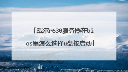 戴尔r630服务器在bios里怎么选择u盘按启动