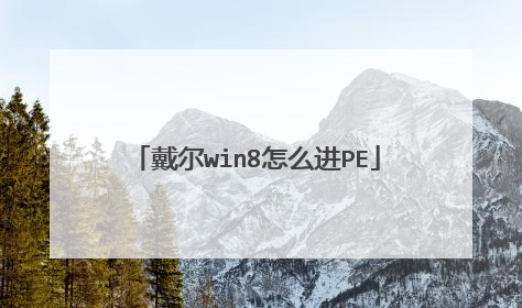 戴尔win8怎么进PE