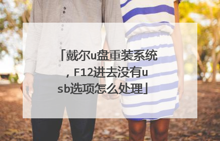 戴尔u盘重装系统，F12进去没有usb选项怎么处理