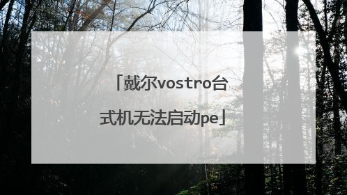 戴尔vostro台式机无法启动pe