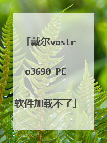 戴尔vostro3690 PE软件加载不了