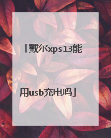 戴尔xps13能用usb充电吗