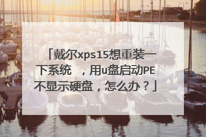 戴尔xps15想重装一下系统 ,用u盘启动PE不显示硬盘,怎么办?