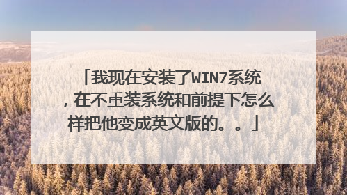 我现在安装了WIN7系统,在不重装系统和前提下怎么样把他变成英文版的。。