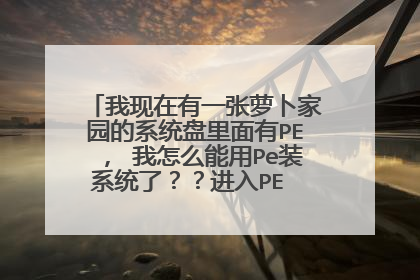 我现在有一张萝卜家园的系统盘里面有PE, 我怎么能用Pe装系统了??进入PE 怎么做??