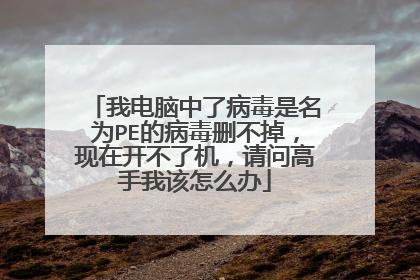 我电脑中了病毒是名为PE的病毒删不掉，现在开不了机，请问高手我该怎么办