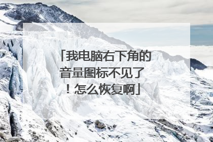 我电脑右下角的 音量图标不见了!怎么恢复啊