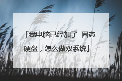 我电脑已经加了 固态硬盘,怎么做双系统