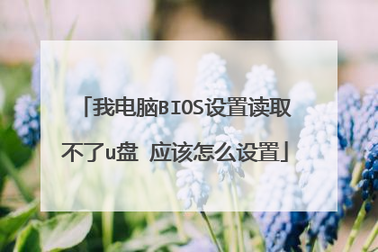 我电脑BIOS设置读取不了u盘 应该怎么设置