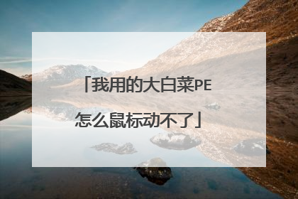 我用的大白菜PE怎么鼠标动不了