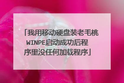 我用移动硬盘装老毛桃WINPE启动成功后程序里没任何加载程序