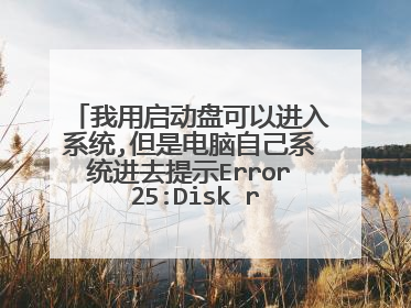 我用启动盘可以进入系统,但是电脑自己系统进去提示Error 25:Disk read error