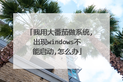 我用大番茄做系统,出现windows不能启动,怎么办