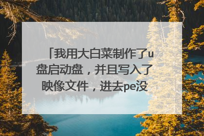 我用大白菜制作了u盘启动盘,并且写入了映像文件,进去pe没有u盘启动项!