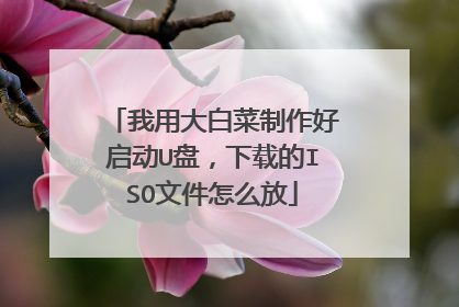 我用大白菜制作好启动U盘,下载的ISO文件怎么放
