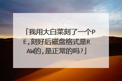 我用大白菜刻了一个PE,刻好后磁盘格式是RAW的,是正常的吗?