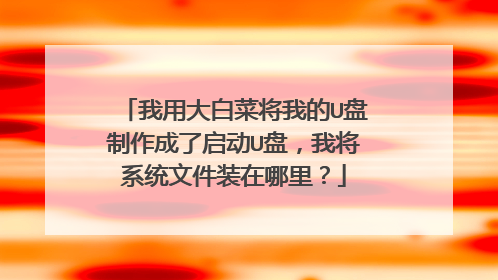 我用大白菜将我的U盘制作成了启动U盘,我将系统文件装在哪里?