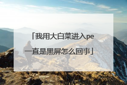 我用大白菜进入pe一直是黑屏怎么回事