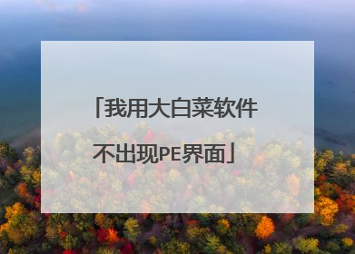 我用大白菜软件不出现PE界面