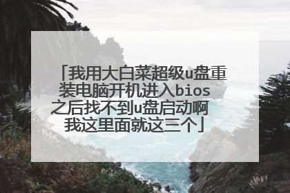 我用大白菜超级u盘重装电脑开机进入bios之后找不到u盘启动啊 我这里面就这三个
