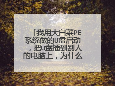 我用大白菜PE系统做的U盘启动，把U盘插到别人的电脑上，为什么进入PE里面没有任何系统工具？