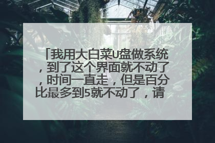 我用大白菜U盘做系统,到了这个界面就不动了,时间一直走,但是百分比最多到5就不动了,请问是什么原因