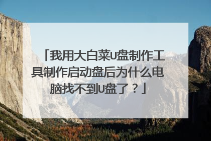 我用大白菜U盘制作工具制作启动盘后为什么电脑找不到U盘了?