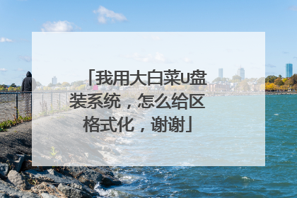 我用大白菜U盘装系统,怎么给区格式化,谢谢