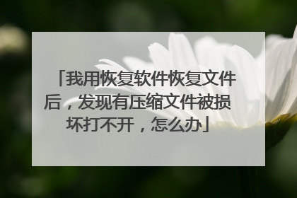 我用恢复软件恢复文件后,发现有压缩文件被损坏打不开,怎么办
