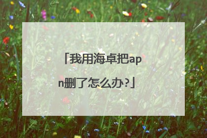 我用海卓把apn删了怎么办?