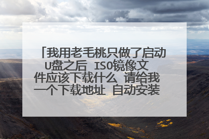 我用老毛桃只做了启动U盘之后 ISO镜像文件应该下载什么 请给我一个下载地址 自动安装总是会变成这个样子