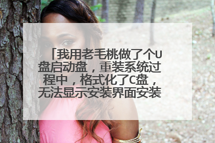 我用老毛桃做了个U盘启动盘,重装系统过程中,格式化了C盘,无法显示安装界面安装系统!(如图)?