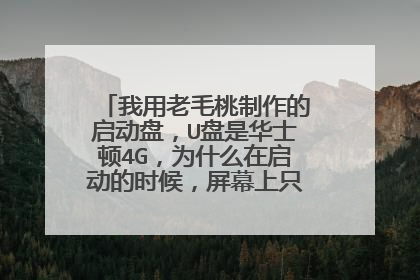 我用老毛桃制作的启动盘,U盘是华士顿4G,为什么在启动的时候,屏幕上只有一道白杠在闪?