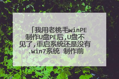 我用老桃毛winPE制作U盘PE后,U盘不见了,重启系统还是没有.win7系统 制作前还有的呢!~~~