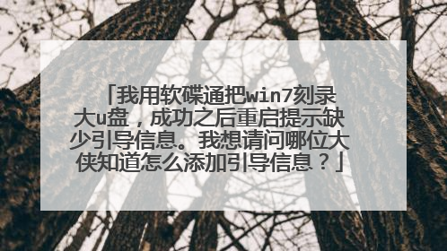 我用软碟通把win7刻录大u盘,成功之后重启提示缺少引导信息。我想请问哪位大侠知道怎么添加引导信息?