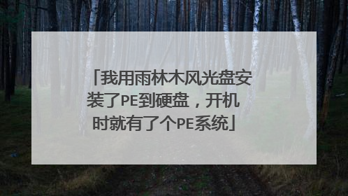 我用雨林木风光盘安装了PE到硬盘,开机时就有了个PE系统