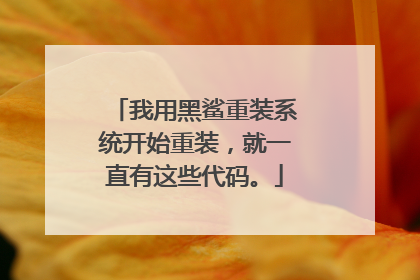 我用黑鲨重装系统开始重装,就一直有这些代码。