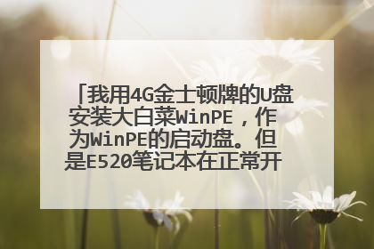 我用4G金士顿牌的U盘安装大白菜WinPE,作为WinPE的启动盘。但是E520笔记本在正常开机状态下不认这U盘。