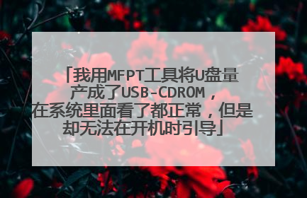 我用MFPT工具将U盘量产成了USB-CDROM,在系统里面看了都正常,但是却无法在开机时引导