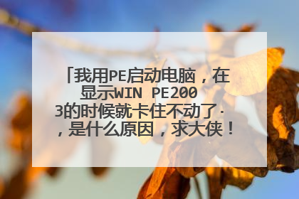 我用PE启动电脑，在显示WIN PE2003的时候就卡住不动了·，是什么原因，求大侠！在线等！！！！！！！