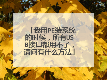 我用PE装系统的时候，所有USB接口都用不了，请问有什么方法