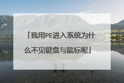 我用PE进入系统为什么不见键盘与鼠标呢
