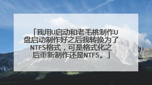 我用U启动和老毛桃制作U盘启动制作好之后我转换为了NTFS格式,可是格式化之后重新制作还是NTFS。